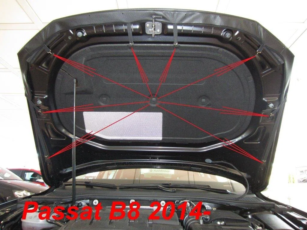 AB-00818 Auto BRA kompatibel mit VW Passat B8 3G 2014-2024 Haubenbra Steinschlagschutz Tuning Bonnet Bra Motorhaubenschutz