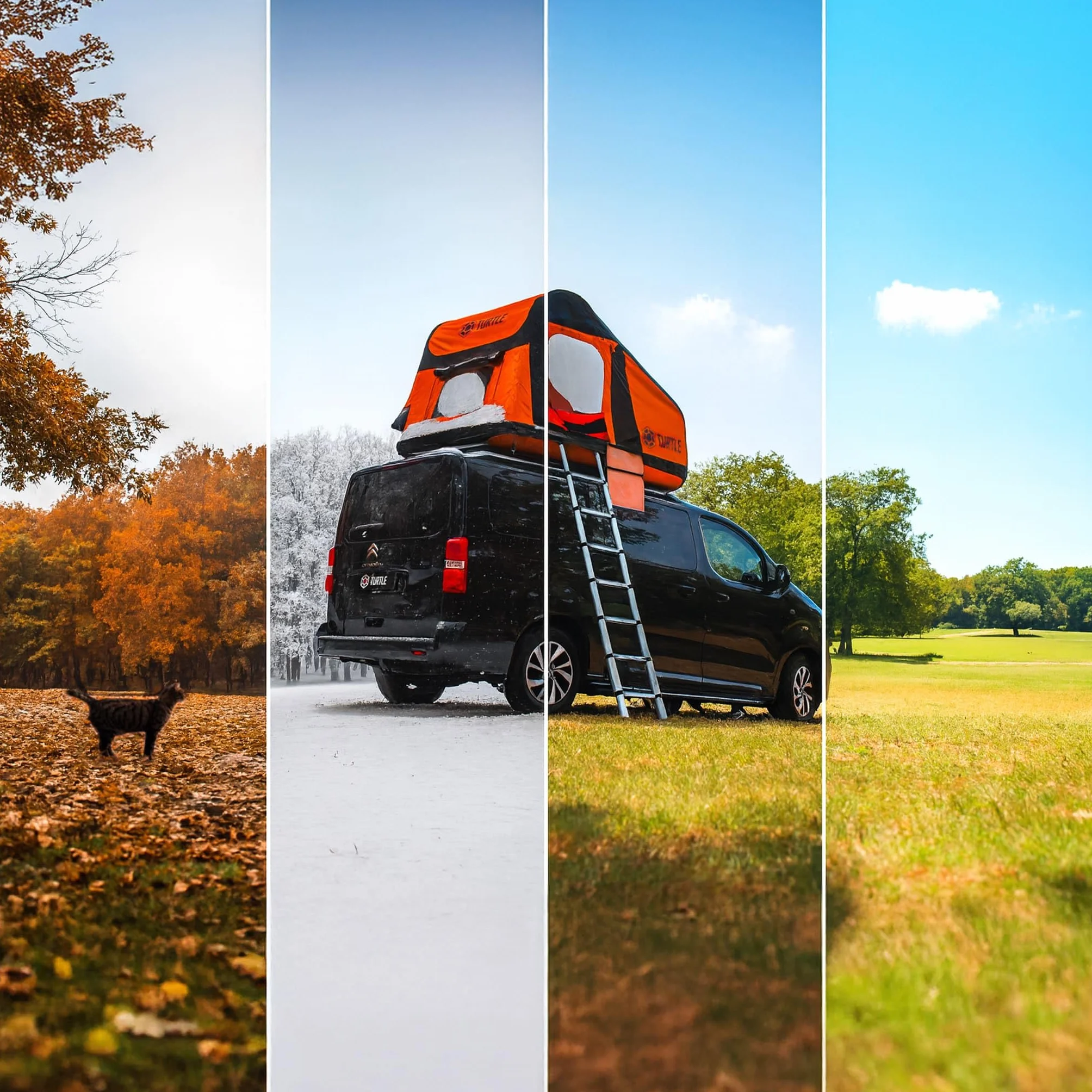 TURTLE Für Dacia Dokker 2013-2024 Crown Dachreling | SCHWARZ